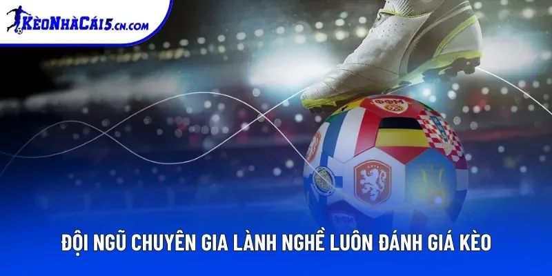 Đội ngũ chuyên gia lành nghề luôn đánh giá kèo