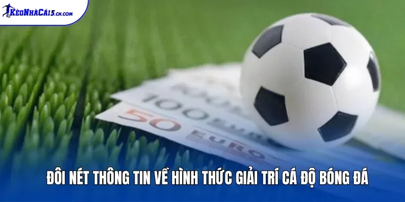 Đôi nét thông tin về hình thức giải trí cá độ bóng đá